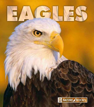 Eagles / by Patrick Merrick.