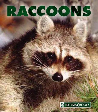 Raccoons / by Patrick Merrick.