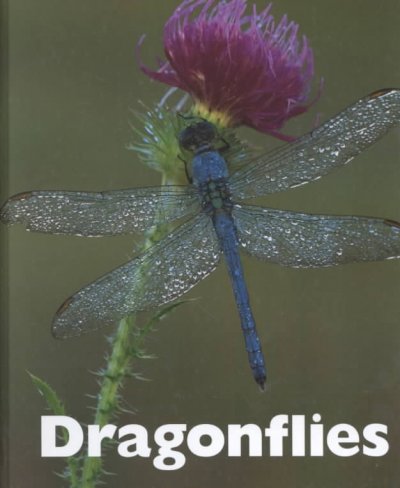 Dragonflies [book] / Patrick Merrick.