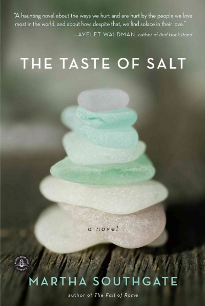 The taste of salt : a novel / by Martha Southgate.