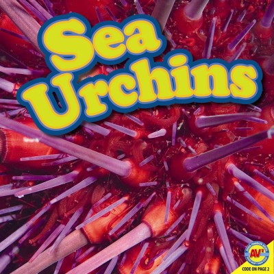 Sea urchins / Simon Rose.