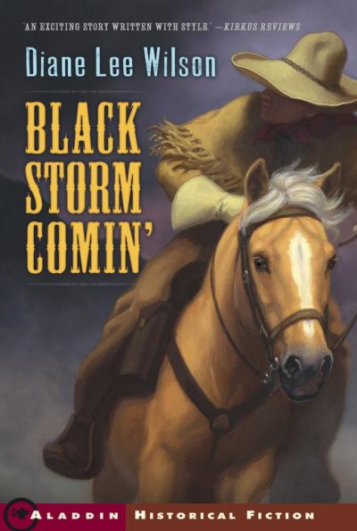 Black storm comin' / Diane Lee Wilson.