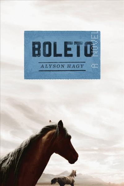 Boleto : a novel / Alyson Hagy.