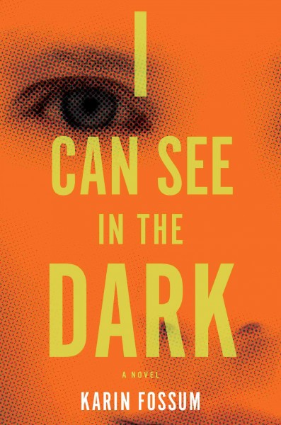 I can see in the dark / Karin Fossum ; translated from the Norwegian by James Anderson.