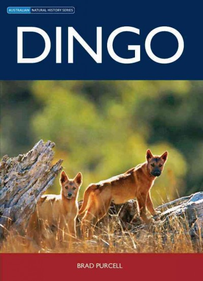 Dingo [electronic resource] / by Brad Purcell.