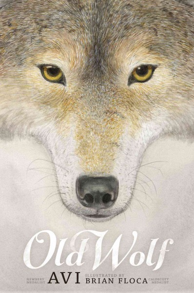 Old wolf / Avi ; illustrated by Brian Floca.
