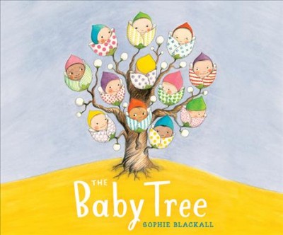 The baby tree / Sophie Blackall.