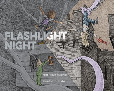 Flashlight night / Matt Forrest Esenwine ; illustrated by Fred Koehler.