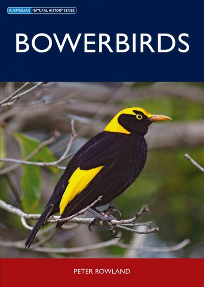 Bowerbirds / Peter Rowland.