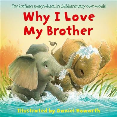 Why I Love My Brother / illustrated by Daniel Howarth