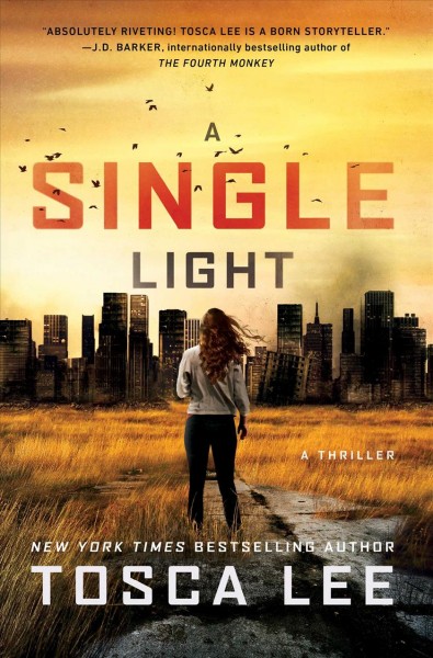 A single light : a novel / Tosca Lee.