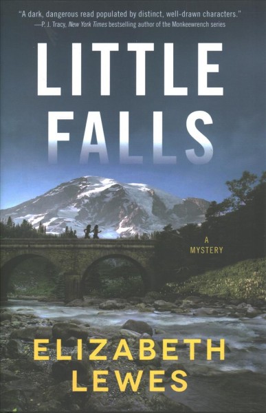 Little falls : a mystery / Elizabeth Lewes.