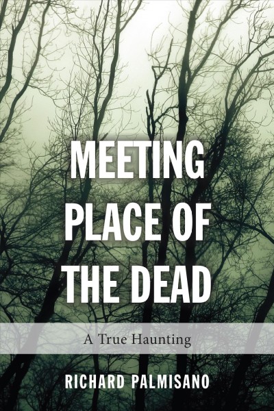Meeting place of the dead : a true haunting / Richard Palmisano ; foreword by Peter Roe.