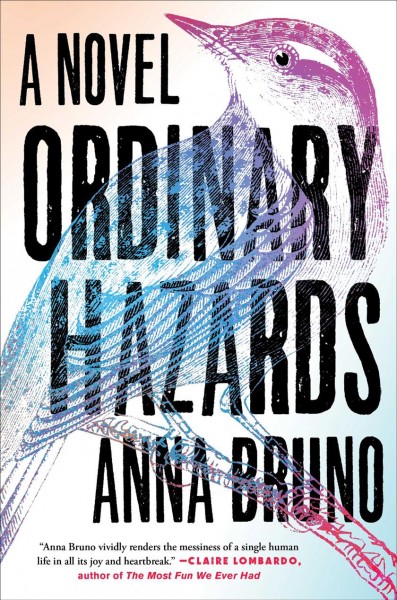 Ordinary hazards : a novel / Anna Bruno.