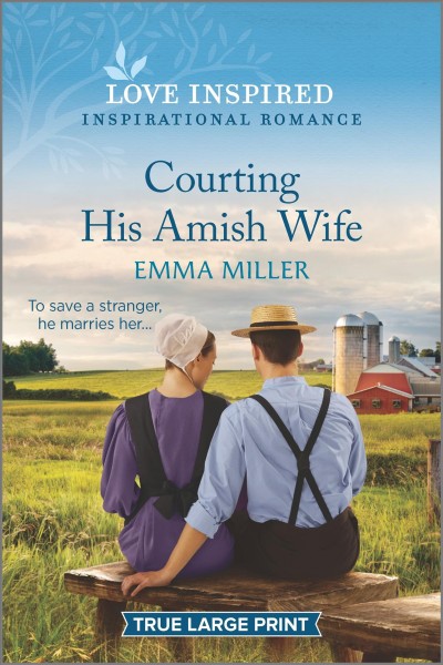 Courting his Amish wife [large print] / Emma Miller.