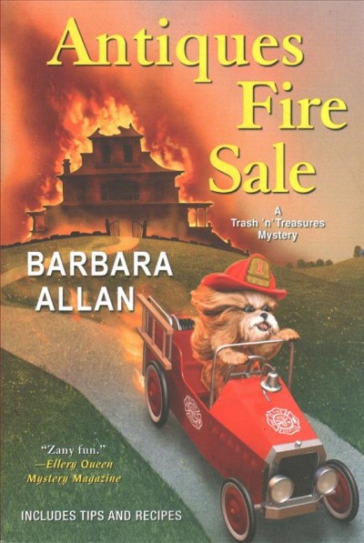 Antiques fire sale / Barbara Allan.