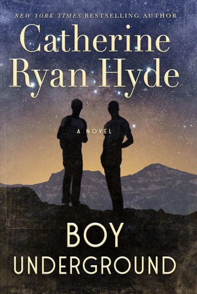 Boy underground : a novel / Catherine Ryan Hyde.