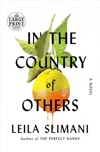 In the country of others : volume one war, war, war : a novel / Leila Slimani ; translated from the French by Sam Taylor.
