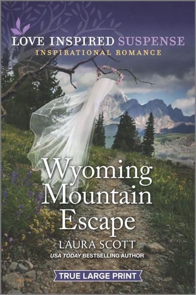 Wyoming mountain escape / Laura Scott.