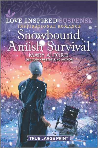 Snowbound Amish survival / Mary Alford.