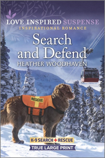 Search and defend / Heather Woodhaven.