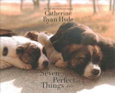 Seven perfect things [sound recording] : a novel / Catherine Ryan Hyde.