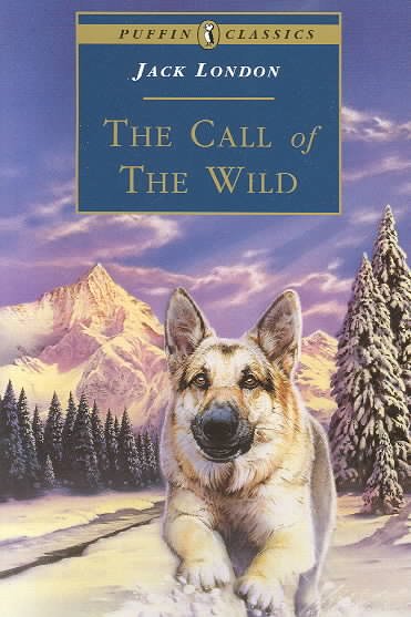 Call of the Wild, The [Paperback].