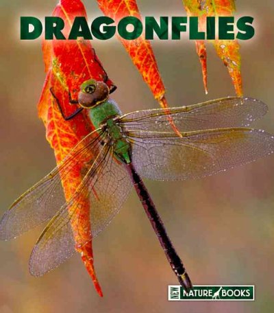 Dragonflies / by Patrick Merrick.