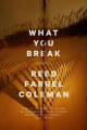 What you break  Cover Image