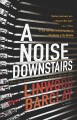 A noise downstairs : a novel  Cover Image