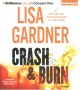 Crash & Burn : v. 3 : Tessa Leoni  Cover Image