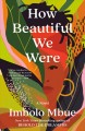 How beautiful we were : a novel  Cover Image