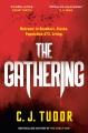 The gathering : a novel  Cover Image